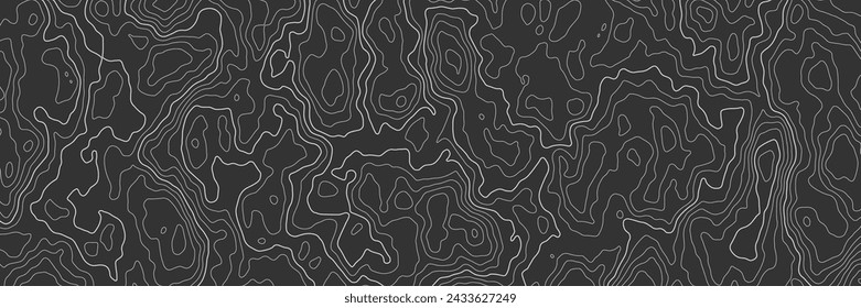 Topographic map. Line contour geographic map pattern with elevation levels. Abstract vector geographic topo wavy grid gray relief texture. Land curvy white outline borders on black