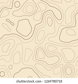 Topographic map lines. Actual topographic map. Seamless design, amusing tileable isolines pattern. Vector illustration.