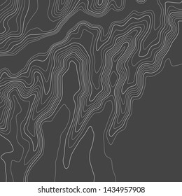 Topographic map lines background. Abstract vector illustration. Contour vector map.