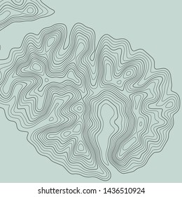 Topographic map lines background. Abstract vector illustration. Contour vector map.