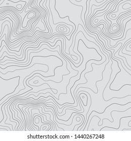 Topographic Map Lines Background. Abstract Vector Illustration. Contour Vector Map.