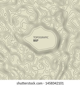 Topographic map lines background. Abstract vector illustration.