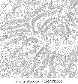 Topographic map lines background. Abstract vector illustration.