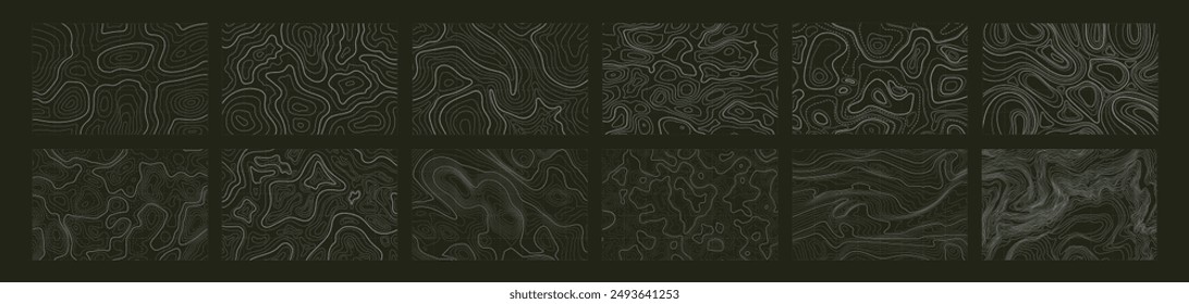 Topographic map lines, contour background. Background of the topographic map. Image grid geographic relief topographic contour line maps cartography texture