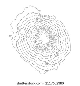 Topographic map with lines on a white background. Geographic map concept. Vector illustration