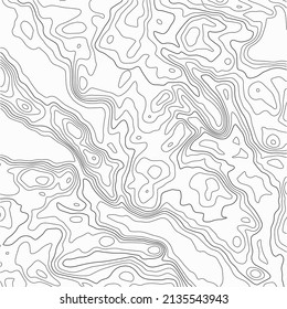Topographic map with lines on a white background. Geographic map concept. Vector illustration