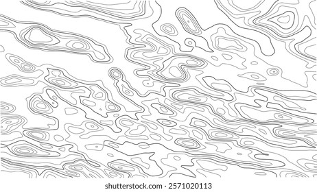 Topographic map with lines on a white background. Geographic map concept. Vector illustration
