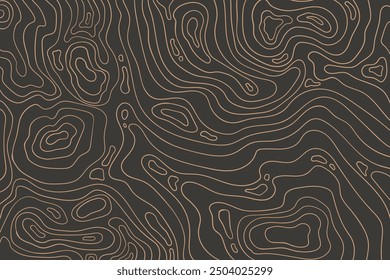 Topographic map with mountain relief, contur abstract wavy lines, top view land