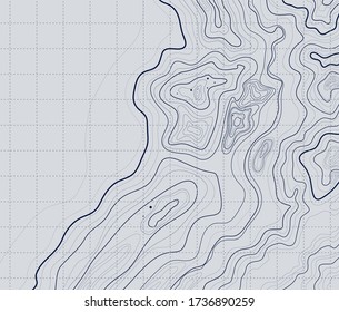 topographic map on a grey background abstract geographical height lines, vector illustration white lines contour grid