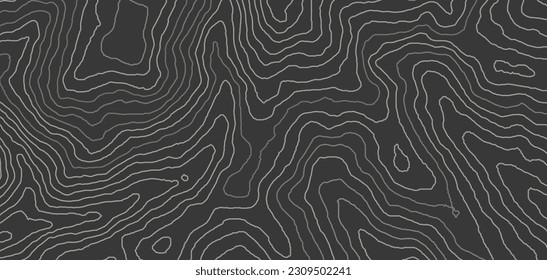 Patrón de mapa topográfico que conforma el paisaje geográfico de fondo. 3.ᵉʳ mapa de la estructura de la tierra de la cuadrícula topografía abstracta de la montaña