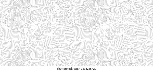 Topographic Map Pattern. Vector Background
