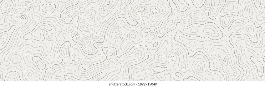 Topographic map patterns, topography line map. Vintage outdoors style - Shutterstock ID 1892715049