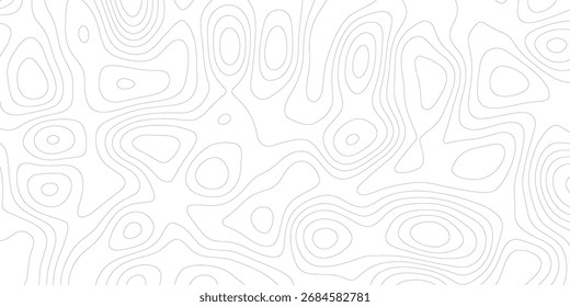 topographic map patterns, topography line map.White wave paper curved reliefs abstract background