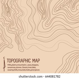 topographic map with place for text