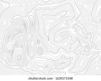 Abstract Black White Topographic Contours Lines Stock Vector (Royalty ...