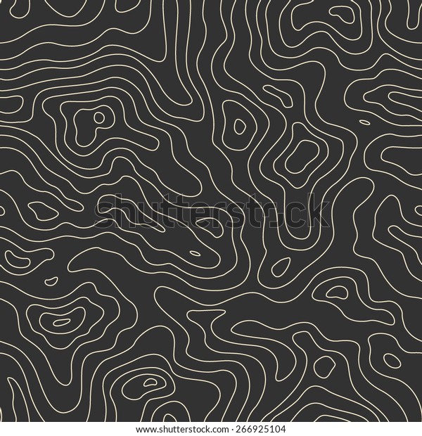 Topographic Map Seamless Pattern Vector Background Stock Vector ...