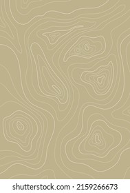 topographic map texture with altitude lines