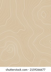 Topographic Map Texture With Altitude Lines