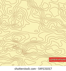 Topographic map texture. Wavy abstract graphic background. Vector map is layered with isolines, text and background on different layers.
