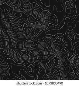 Topographic map. Topographical background. Linear graphics. Vector illustration.