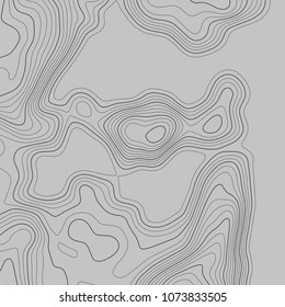 Topographic map. Topographical background. Linear graphics. Vector illustration.