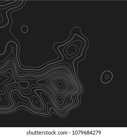 Topographic map. Topographical background. Linear graphics. Vector illustration.