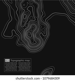 Topographic map. Topographical background. Linear graphics. Vector illustration.