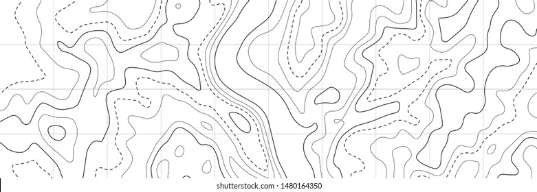 Topographic map. Topographical background. Linear graphics. Vector illustration.