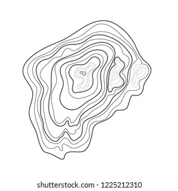 topographic map vector, abstract black lines