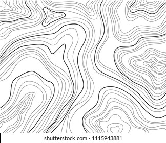 topographic map, vector illustration