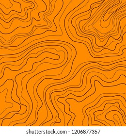 topographic map vector illustration