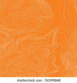 Topographic map. Vector illustration.