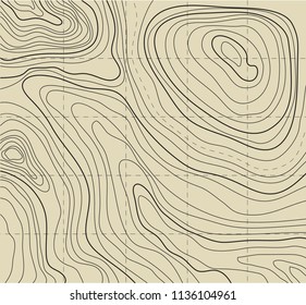 topographic map, vector illustration, abstract background