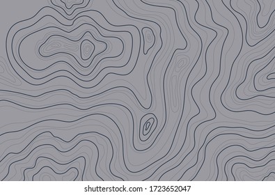 topographic map vector illustration, abstract height lines isolated on a gray background