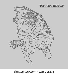 Topographic map. Vector illustration. Contour map background