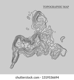 Topographic map. Vector illustration. Contour map background
