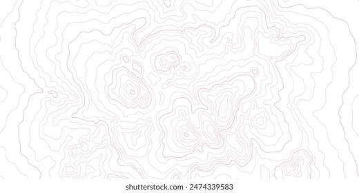 Topographic map vector illustration. Imaginary mountain elevation map lines. Vintage style topo contour map.