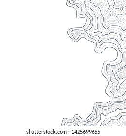 topographic map vector,elevation lines isolated on white background