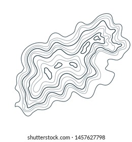topographic map ,vector,isolated on white background