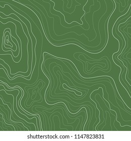 topographic map, white lines green background, vector