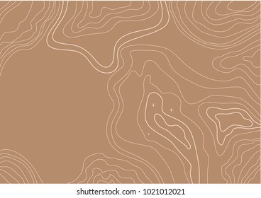 topographic map, white lines on brown background, vector