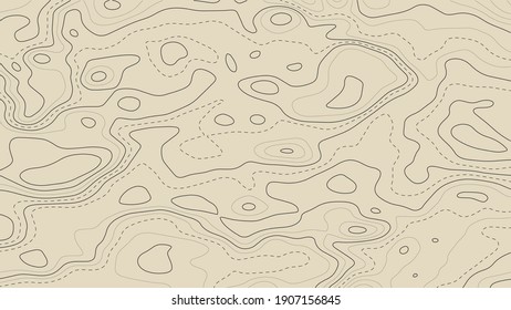 Topographic map.Abstract background with black lines and circles.Geometric abstract grid.Vector illustration.	
