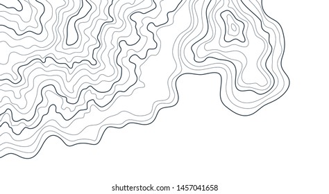 topographic map,abstract height lines isolated on white background , vector