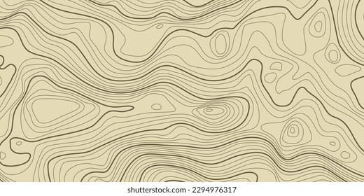 Topographic pattern texture. Brown contours vector topography. Geographic mountain topographic. Map on land strok terrain. Elevation graphic contour height lines. Vector Illustration.