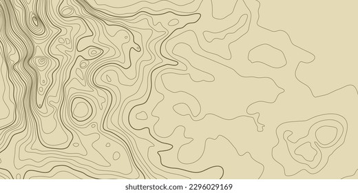 Topographic pattern texture. Brown contours vector topography. Geographic mountain topographic. Map on land strok terrain. Elevation graphic contour height lines. Vector Illustration.