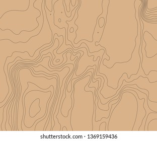 Topographic relief map of the earth. Vector illustration .