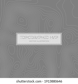 Topographic texture map on white background. Topo map elevation lines. Contour vector abstract vector illustration. Geographic world topography.