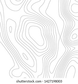 Topographic vector map. Vector illustretion. Geographi map in contours and lines.