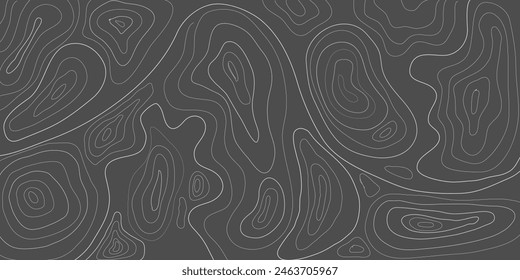 Topographic vector map pattern. Abstract mountain terrain map background with abstract shape line texture. 