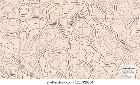 Topographic world map. Geographic contour grid